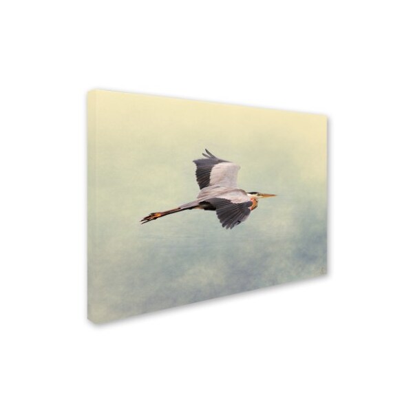 Jai Johnson 'Blue Heron In Flight 1' Canvas Art,35x47